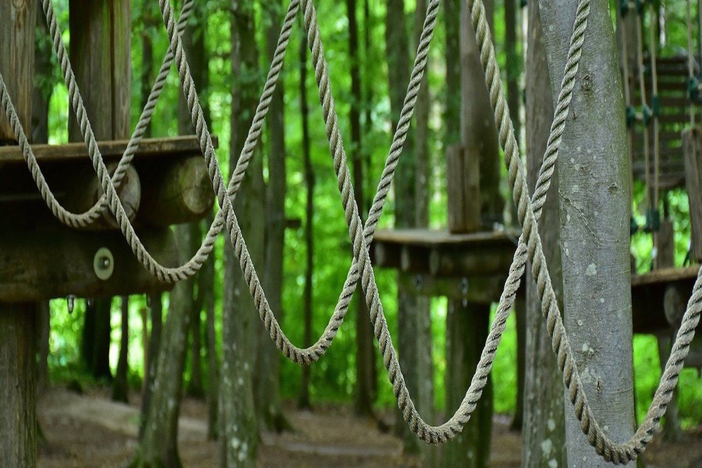 Adrenalina Parco Avventura